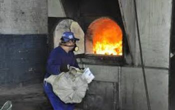 Polícia incinera 65 quilos de maconha tipo skunk em Manacapuru