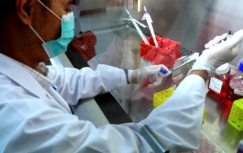 Covid-19 - Suíça recomenda a pessoas do grupo de risco que “preparem seus testamentos”