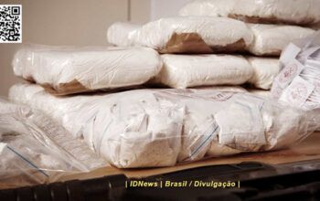 PF e Receita e apreendem 380 kg de cocaína no Porto do Rio