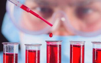 Reino Unido estuda exame de sangue que pode detectar até 50 tipos de câncer