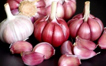 Fux suspende decisão da 1ª Região que liberou importação de alho da China sem pagamento de IPI