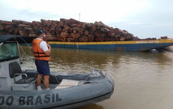 Cerca de 42 mil m³ de madeira extraída da Amazônia é apreendida pelas Forças Armadas