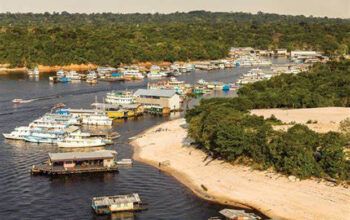 Agente de portaria é morto a pauladas na Comunidade  Abelha, zona rural de Manaus