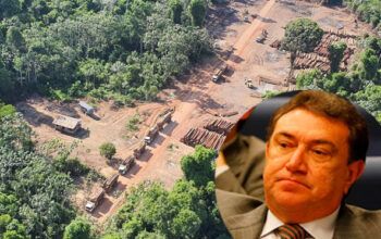 Átila Lins interferia no Ibama a favor de madeireiras ilegais no Amazonas, diz O Globo