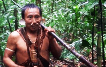 Barroso nega homologar plano do governo para combate à Covid entre indígenas