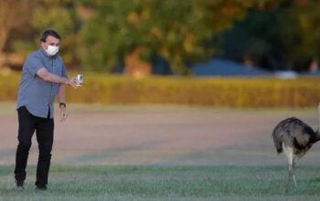 Brasil com cloroquina aos montes e algodão e seringas faltando atinge mais de 31 mil tweets