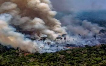Brasil é ‘excluído’ de cúpula da ONU sobre sobre mudanças climáticas