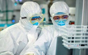 Brasil registra mais 313 mortes e 26.363 casos de covid-19 em 24 horas