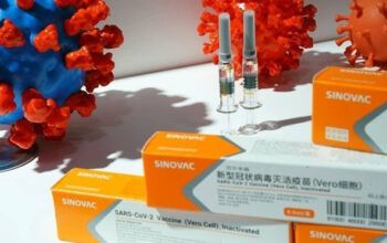 CoronaVac tem eficácia de 91,25%, Turquia