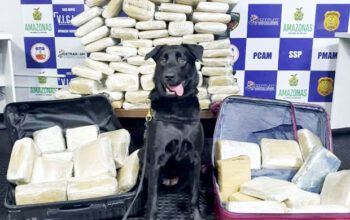 Em 2 meses, Base Arpão apreendeu quase 400kg de drogas em Coari avaliados em R$ 6,3 milhões
