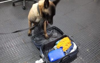 Policiais da Base Arpão em Coari predem homem com 1 kg de maconha