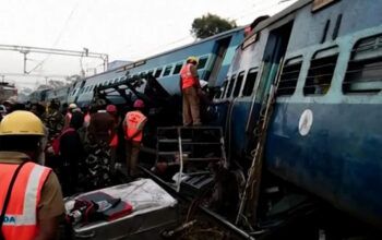 Trem descarrila após colidir com elefante na Índia