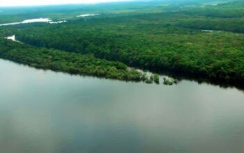 Mourão apresenta plano substituto à operação militar na Amazônia