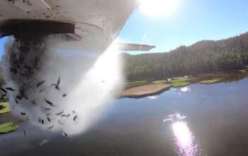 Cidade dos EUA tem 'chuva de peixes' jogados de aviões