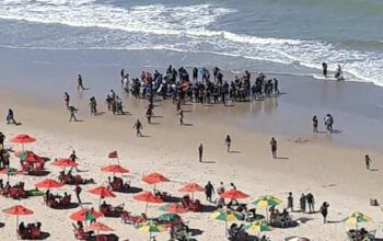 Homem tem perna quase arrancada por tubarão em Recife