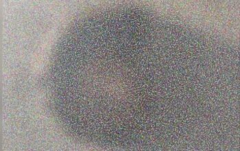 Cabeça de mulher decapitada é encontrada por duas crianças na Cidade de Deus