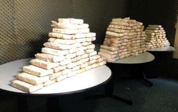 Quase 200 quilos de cocaína  são apreendidos no quintal de uma casa na zona rural