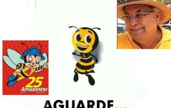 Abelha que marcou governos de Amazonino Mendes reaparece em vídeo com mensagem: "aguarde"