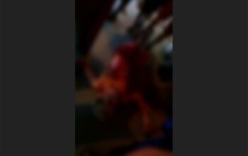 Adolescente é  morto com mais de 20 tiros enquanto jogava videogame