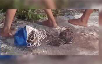 Adolescentes são apreendidos por envolvimento em invasão e roubo à residência em Adrianópolis