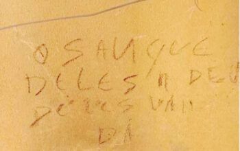 Após briga, vizinho mata cães e escreve em muro com sangue dos animais