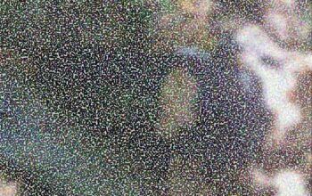 Corpo de um homem morto à tiro é encontrado no bairro Alto de Iranduba