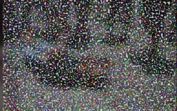 Detento do semiaberto é  executado a tiros enquanto caminhava