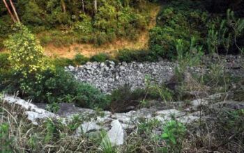 Empresário é preso por torturar e obrigar funcionário a pular de barranco