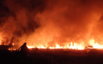 Fotógrafo é ameaçado de morte por registrar queimadas  em Lábrea: “Você vai queimar junto na queimada” 
