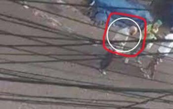 PM aposentado de 98 anos mata homem a tiros e fere mulher após ver briga de casa (vídeo)