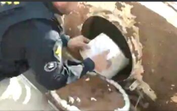 Policial para abastecer viatura e apreende  mais de 5 toneladas de maconha; veja vídeo