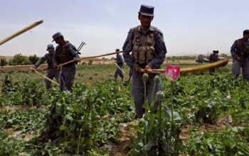 Tráfico de drogas rende US$ 400 milhões ao ano e impulsiona ações do Talibã no Afeganistão