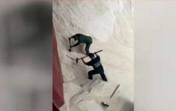 Polícia Federal apreende 155 kg de cocaína que estava escondida em um carregamento de açúcar - vídeo