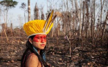 Alta comissária da ONU pede proteção de indígenas e ambientalistas do Brasil