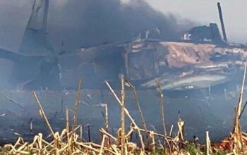 Avião de caça da Força Aérea cai em área de vegetação