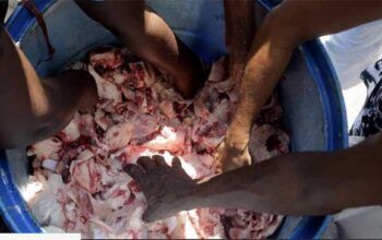 Caminhão com pelanca e osso vira esperança de alimento para quem tem fome no Rio