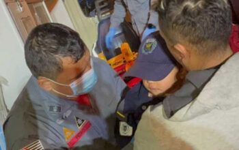 Cão salvador - Menino de 2 anos desaparece e é encontrado graças ao cachorro de estimação