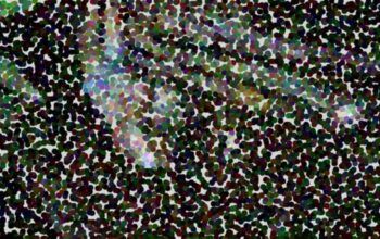 No Iranduba, motorista morre com a namorada em acidente de trânsito