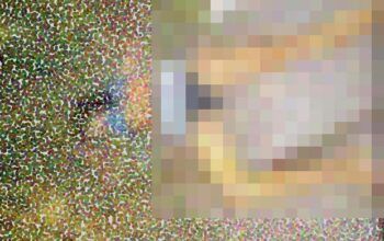 Corpo de adolescente de nome Alice é encontrado no ramal do Brasileirinho; ela foi assassinada à facada