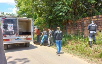 Corpo é encontrado esquartejado em sacos de lixo