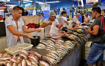 Doença da urina preta já registra mais de 80 casos  em 4 estados