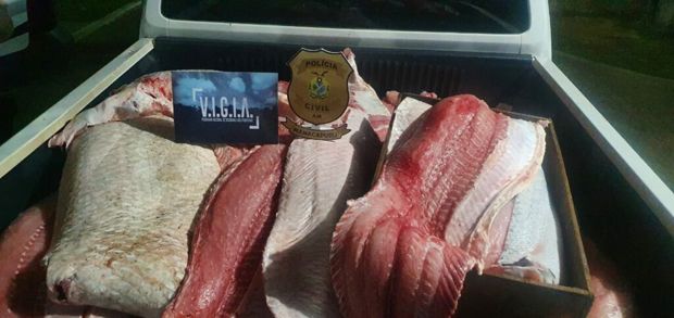 Em Manacapuru, PC prende homem com 818 quilos de pescado ilegal