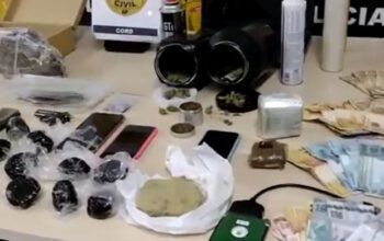 Empresário usava tabacaria de fachada para traficar maconha colombiana (vídeo)