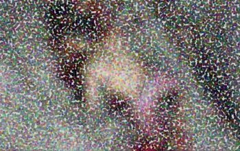 Homem de 21 anos é morto a facadas em Maués em frente a escola