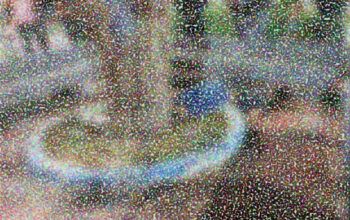 Homem é abordado por atiradores no bairro de Aparecida e executado a tiros