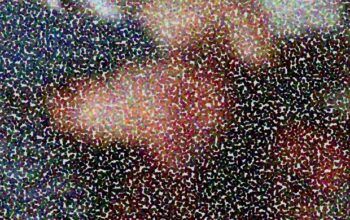 Homem é agredido com golpes de barra de ferro até a morte pelo patrão