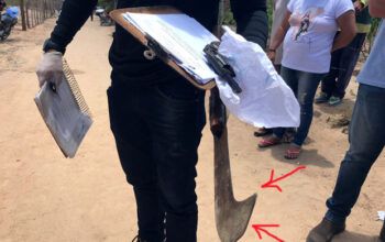 Homem usa foice para matar filha, ex e mais três