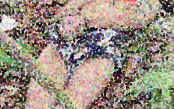 Corpo de mulher enterrada viva no Iranduba por traficantes é encontrado nesta sexta-feira