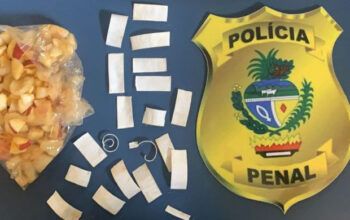 Mulher é presa ao tentar entregar droga dentro de maçã em presídio