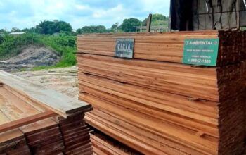 Panchões e madeira em tora extraídos ilegalmente são apreendidos em Manacapuru